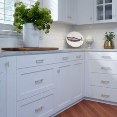 a kitchen with white cabinets and wood flooring is pictured in this image, there are potted plants on the counter