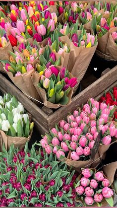 many different colored tulips are in brown paper bags and on display at the flower market