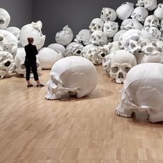 a room filled with lots of white skulls on top of hard wood floored floors