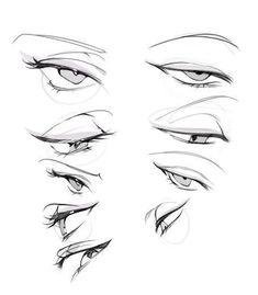 the different types of eyes drawn in pencil