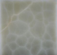 an image of a giraffe's skin that is white and light brown