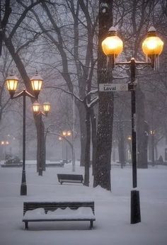 a park bench covered in snow next to street lights