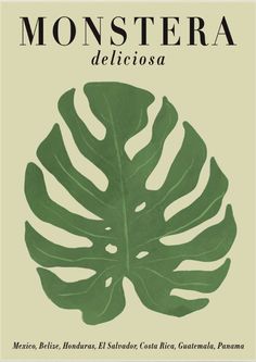 the front cover of monstera deliciaosa