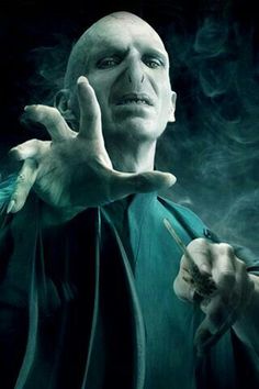 Lord Voldemort Lord Voldemort Tom Riddle, Harry Potter Wiki, Potter Tattoo, Severus Rogue, Images Harry Potter, Bellatrix Lestrange, Best Villains, Mary Sue