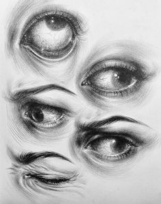 an image of eyes and feathers drawn in pencil