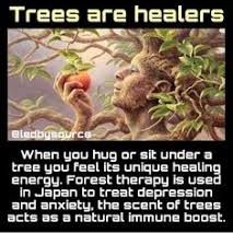 Ancient Knowledge, Life Lesson, Lesson Quotes, Mind Body Soul, Spiritual Healing, Emotional Health, Natural Healing