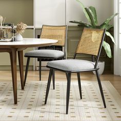 a dining room table with two chairs and a potted plant in the corner next to it