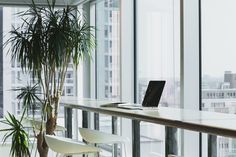 a laptop computer sitting on top of a desk next to a potted palm tree