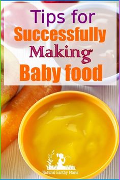 a bowl of baby food with the title tips for successfully making baby food