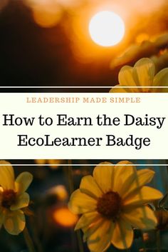 yellow flowers with the words how to earn the daisy ecoleaner badge