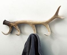 a deer antler mounted to the side of a wall next to a coat rack