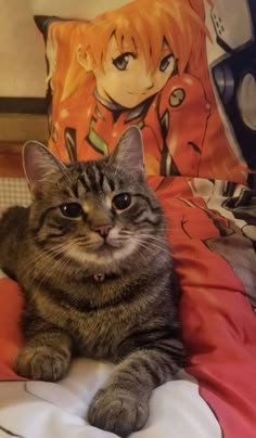 a cat laying on top of a bed next to pillows and pillow cases with anime characters