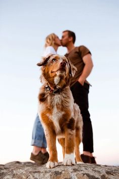 a man and woman kissing while standing on top of a rock with a dog in the foreground