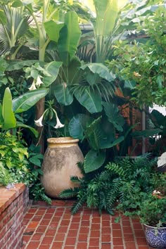 a potted plant sitting on top of a red brick floor next to green plants