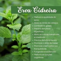 Nesse friozinho, vai muito bem um cházinho❤️ #dicas #dicautil #informação #saude #saboresaude #saudenatural Melissa Officinalis, Magia Das Ervas, August 25, Medicine, Diet, Tea, Health, On Instagram