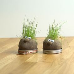 two grass covered shoes sitting on top of a wooden table with eyes drawn on them