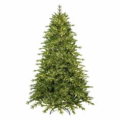 a green christmas tree on a white background