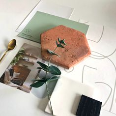 there is a plant on the table next to some photos and a gold spoon in front of it