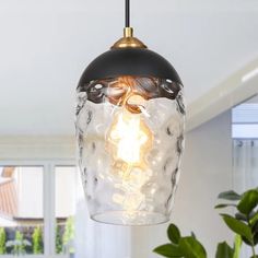 a glass light hanging from a ceiling in a room with potted plants and windows