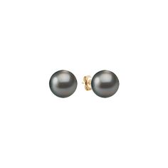 Eternal and timeless  these cultured 10-11mm round cultured Tahitian pearl solitaire earrings will never go out of style. These exquisite  hand-matched gems are set in superior quality 14 karat yellow gold. Elegant Yellow Gold Tahitian Pearl Jewelry, Classic Tahitian Pearl Earrings As Gift, Classic Tahitian Pearl Earrings For Gift, Elegant Gold Tahitian Pearl Earrings, Elegant Gold Tahitian Pearl Jewelry, Classic Tahitian Pearl Jewelry With Matching Earrings, Classic Tahitian Pearl Earrings For Anniversary, Luxury Tahitian Pearl Earrings For Gift, Luxury Tahitian Pearl Earrings Gift