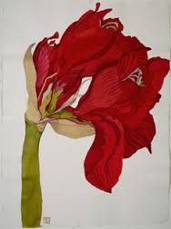 a large red flower on a white background