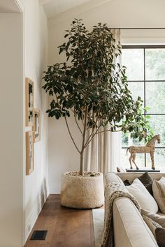 a living room filled with furniture and a tree in the middle of the room on top of a coffee table