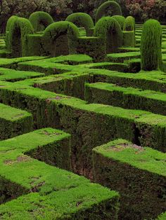 a maze made out of grass with trees in the background