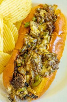 a close up of a hot dog on a plate with potato chips