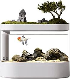 an aquarium with rocks and plants in the bottom, on top of a white stand