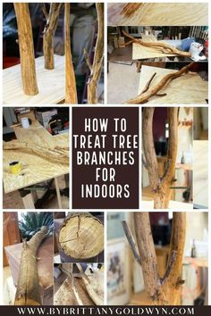 how to treat tree branches for indoors and outdoor decorating with the help of woodworkers