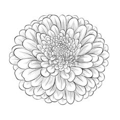 a black and white drawing of a large flower with petals on it's head