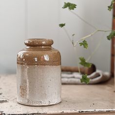 a brown and white jar sitting on top of a wooden table next to a plant