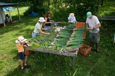 several people standing around a table filled with plants