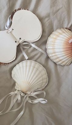 three seashells are laying on a sheet with white ribbons and bows around them