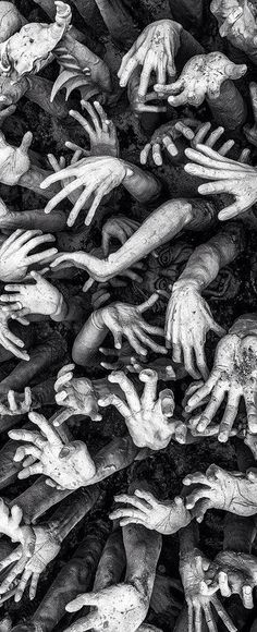 many hands reaching out to each other in black and white, as if they were zombies