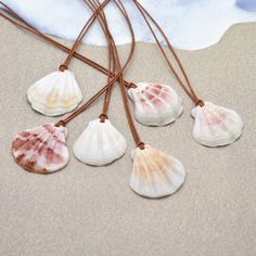 Pretty natural Pectin Scallop sea shells hang from a 16 inch leather necklace.  Closure is a stainless steel lobster claw clasp.  The necklace is a 1 mm soft brown leather cord necklace.  The shells are knotted at the top with the leather.  Each shell is approximately 1 1/4 inches wide and 1 1/4 inches tall. This is a shorter version of my 20 inch shell necklace.  This 16 inch necklace will set at the base of the neck, about an inch longer than a choker.  The shell will hang down another 1 1/2 inches.  If you would like a longer necklace, please check out my 20 inch version. Photo 2 - White shell with subtle splashes of ivory, pink, and burgundy Photo 3 - Soft white scallop shell Photo 4 - White shell with splashes of burgundy and pink Photo 5 - White shell with slight splashes of pink on Shell Photo, Sea Shells Diy, Star Anklet, Necklace Closure, Leather Necklaces, Starfish Jewelry, Pink And Burgundy, Unique Handcrafted Jewelry, Leather Cord Necklace