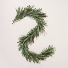 a close up of a pine branch on a white background with the letter s spelled out