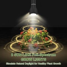 two sun - like full - spectrum grow lights shine brightly for healthy plant growth in the dark