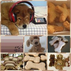 a collage of pictures with teddy bears and other items in them, including dog biscuits