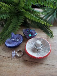 there are two buttons in the bowl next to some plants and other items on the table