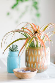 two vases with plants in them sitting on a table