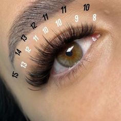 Different Styles Of Lash Extensions, Wispy Set Lash Map, Hybrid Lash Map, Eyelash Map, Lashes Tips, Lash Ideas