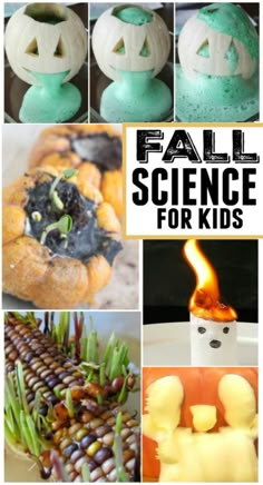 some pumpkins and other food items with the words fall science for kids on them