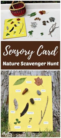 Nature Scavenger Hunt for Toddlers, Preschoolers, Kindergarteners that will keep them interested and have fun at the same time! Give this scavenger hunt a try today! Preschool Scavenger Hunt, Forest School Activities, Outdoor Activities For Kids, Forest School, Outdoor Learning, Learning Ideas