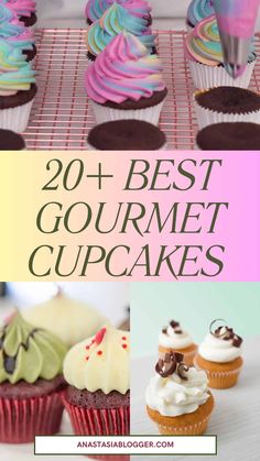 the best gourmet cupcakes are on display in different colors and designs