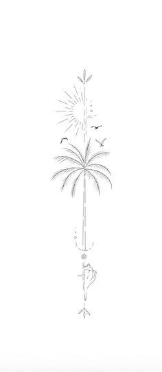 a drawing of a tall palm tree on a white background with an arrow pointing to the left