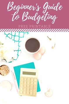 the beginner's guide to budgeting free printable