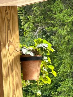 a potted plant hanging from the side of a wooden structure with trees in the background