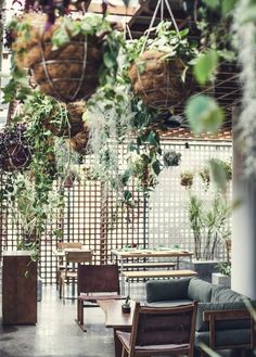 the interior of a restaurant with lots of plants hanging from the ceiling and wooden chairs