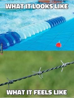 a pool with water in it and an image of a barbwire fence that says, what it looks like